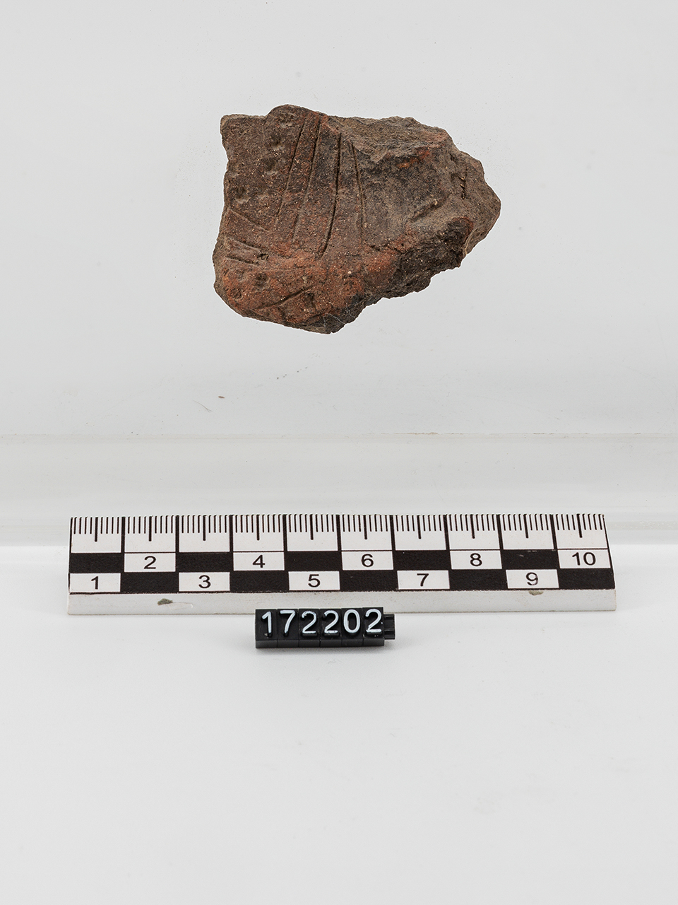 frammento/ parete - Appenninico (PERIODIZZAZIONI/ PROTOSTORIA/ Età del Bronzo/ Età del Bronzo medio)