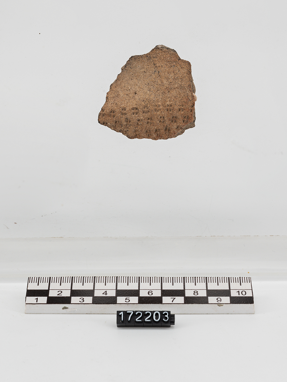 frammento/ parete - Appenninico (PERIODIZZAZIONI/ PROTOSTORIA/ Età del Bronzo/ Età del Bronzo medio)