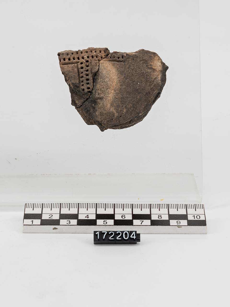 frammento/ parete - Appenninico (PERIODIZZAZIONI/ PROTOSTORIA/ Età del Bronzo/ Età del Bronzo medio)