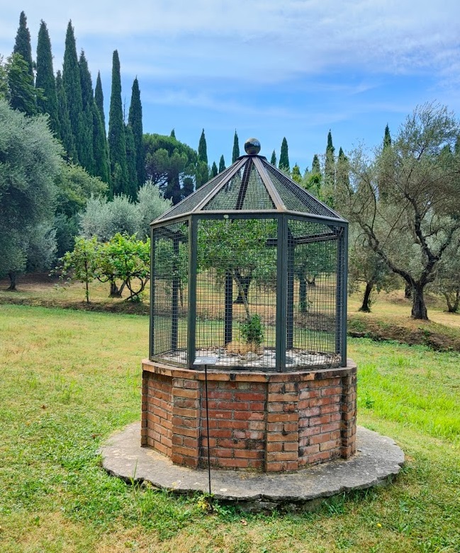 La voliera degli uccelli addormentati (installazione ambientale) di Spoerri Daniel (XX)