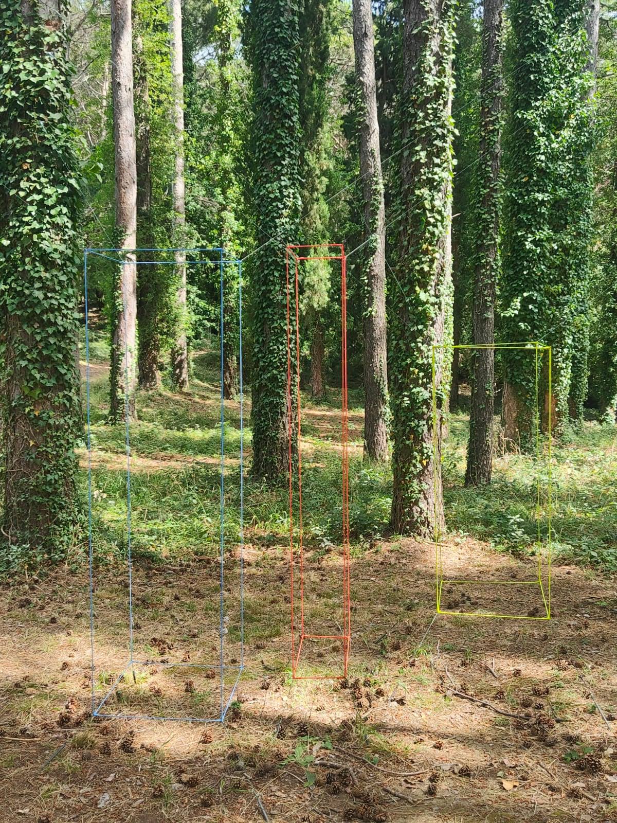 Spazio-tempo. Volume virtuale (installazione ambientale) di Schöpfer Nora (XXI)