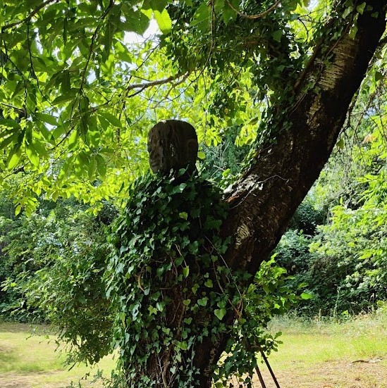 Buddha del ciliegio (installazione ambientale) di Spoerri Daniel (XXI)