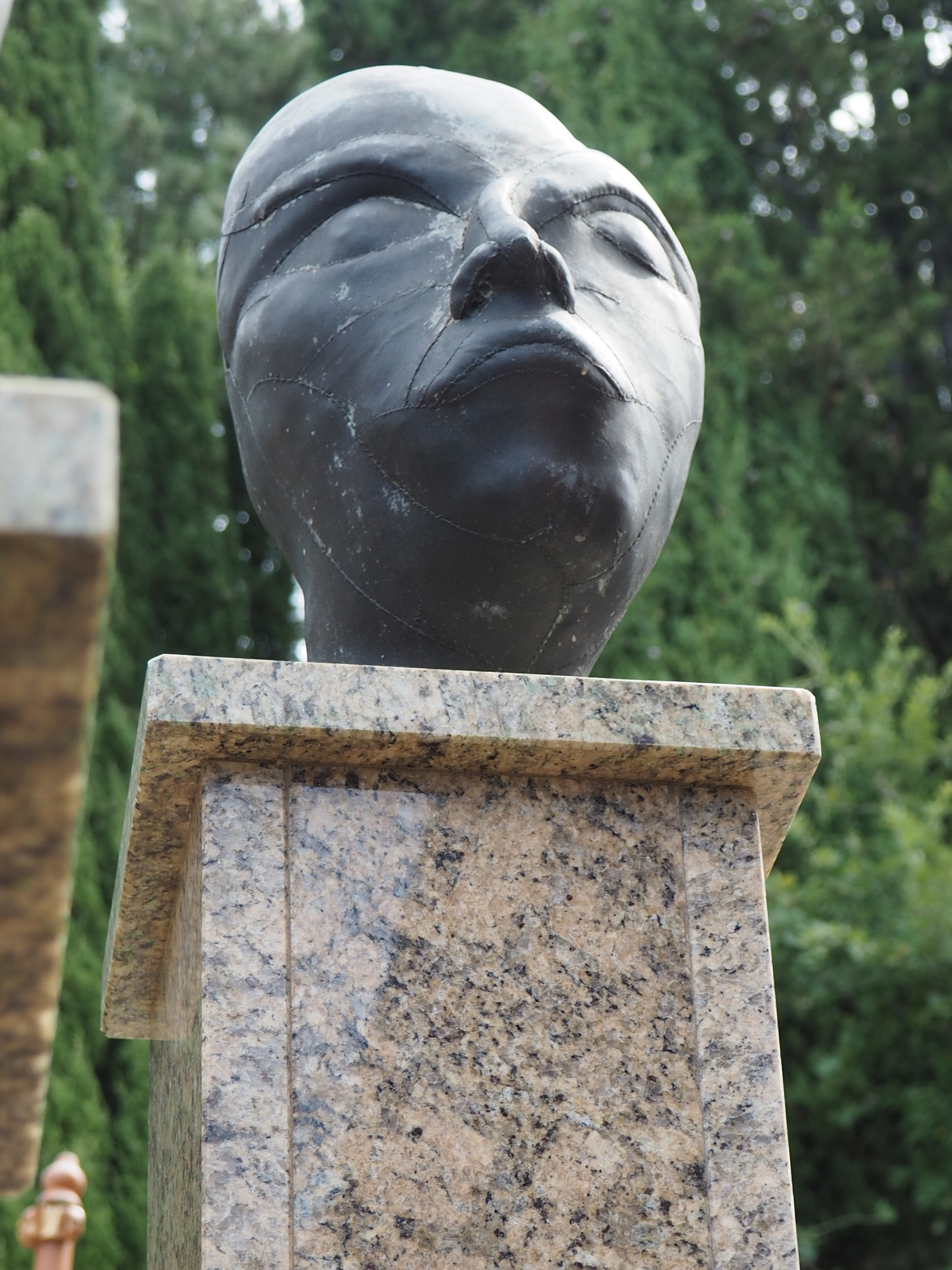 Lo zodiaco, Pesci (installazione ambientale) di Aeppli Eva (XX)