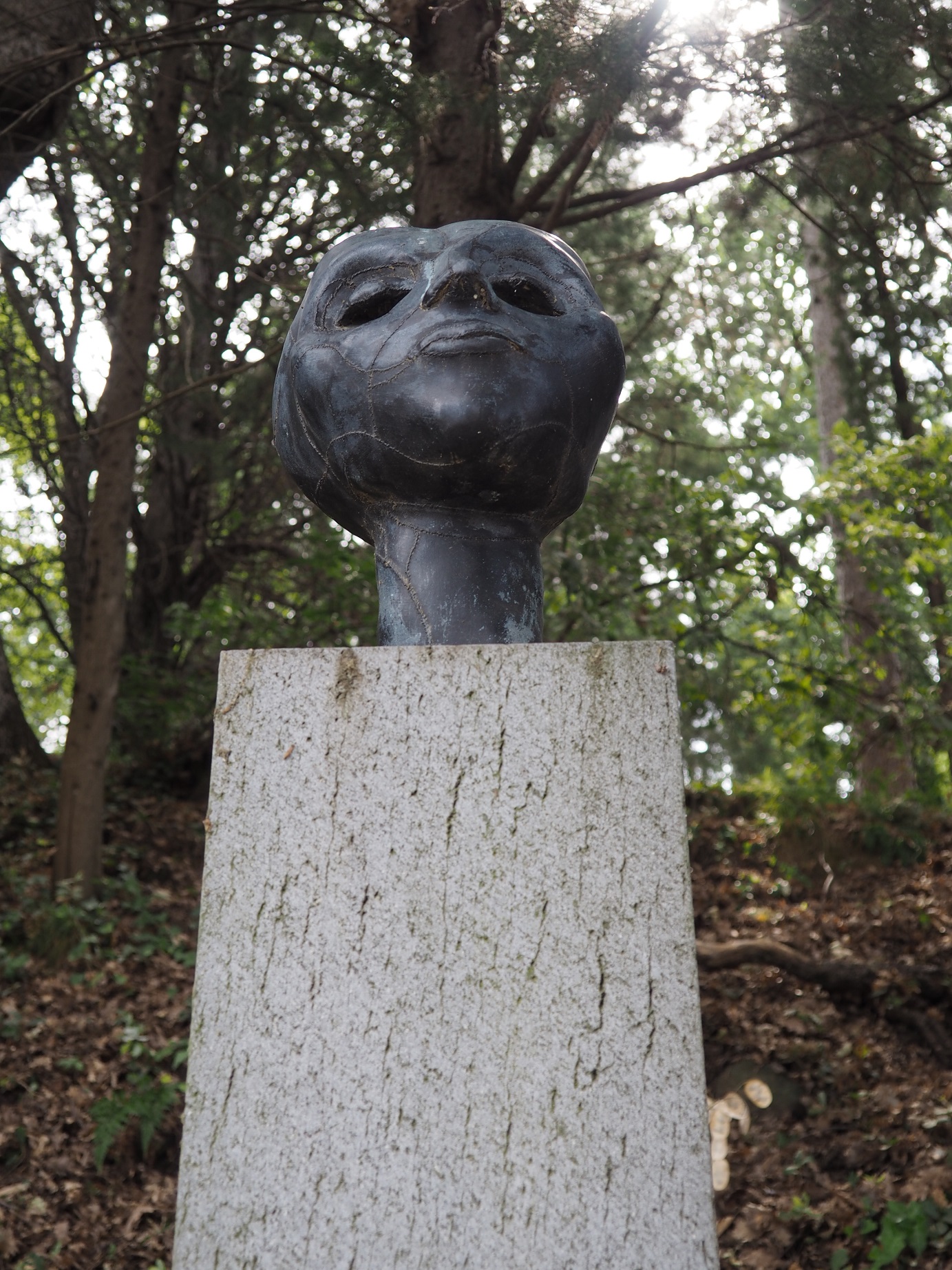 Carmen, Plutone+Venere (installazione ambientale) di Aeppli Eva (XX)