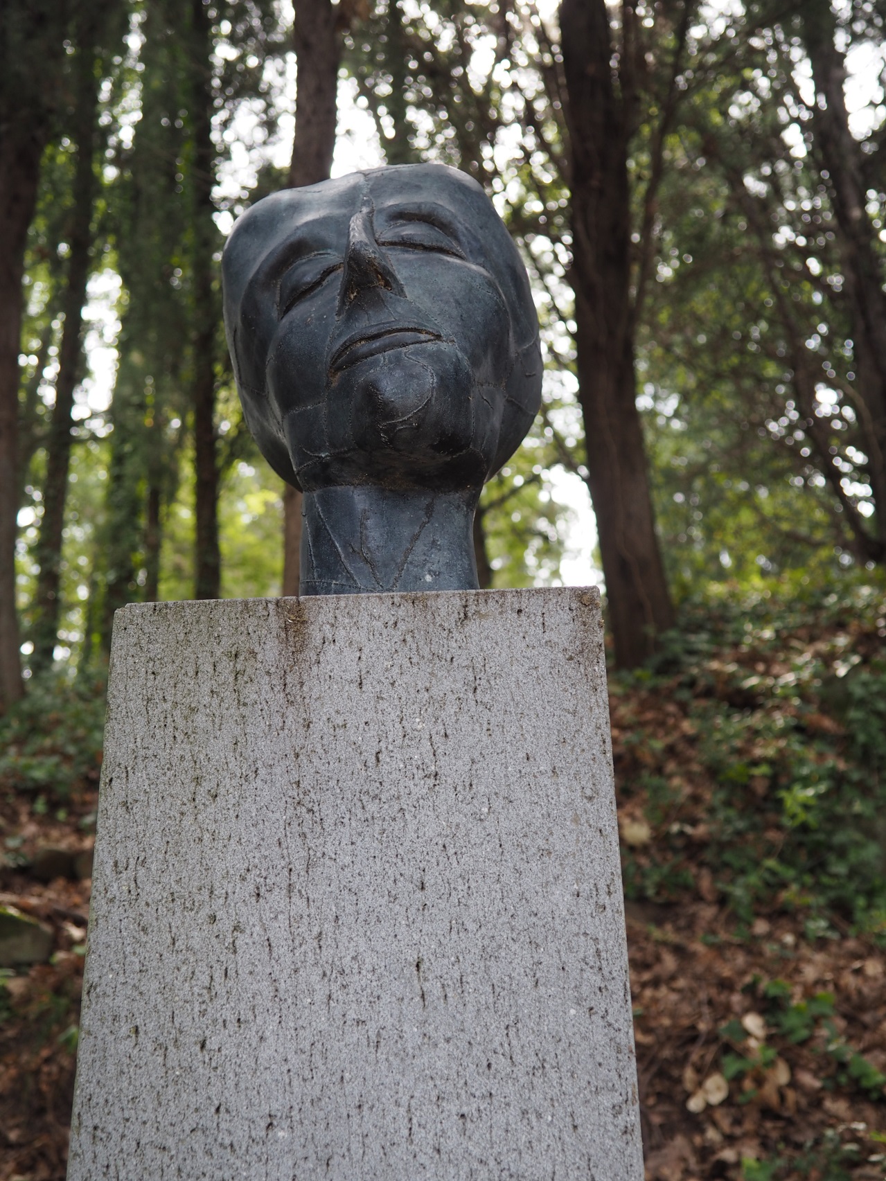 Teresa, Luna+Marte (installazione ambientale) di Aeppli Eva (XX)