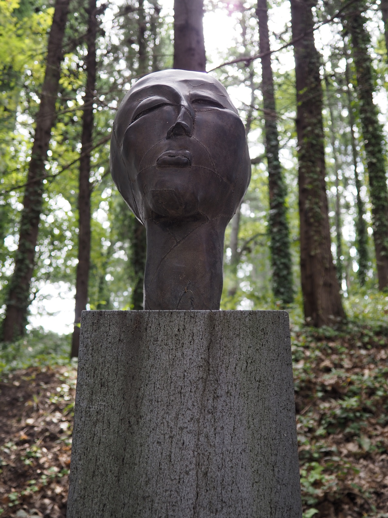 Samuela, Omaggio a Modigliani (installazione ambientale) di Aeppli Eva (XX)