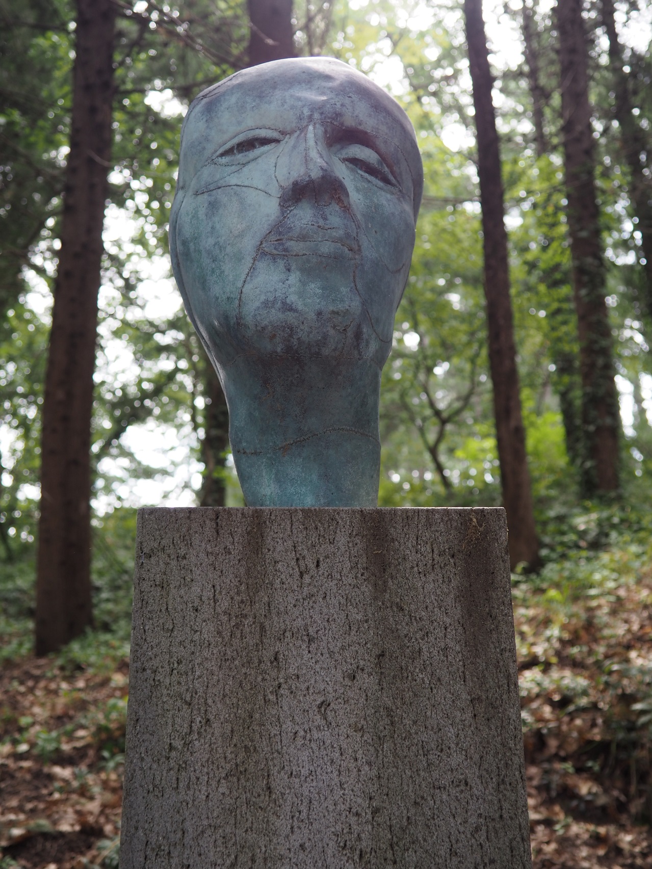 Smaila, Venere+Nettuno (installazione ambientale) di Aeppli Eva (XX)