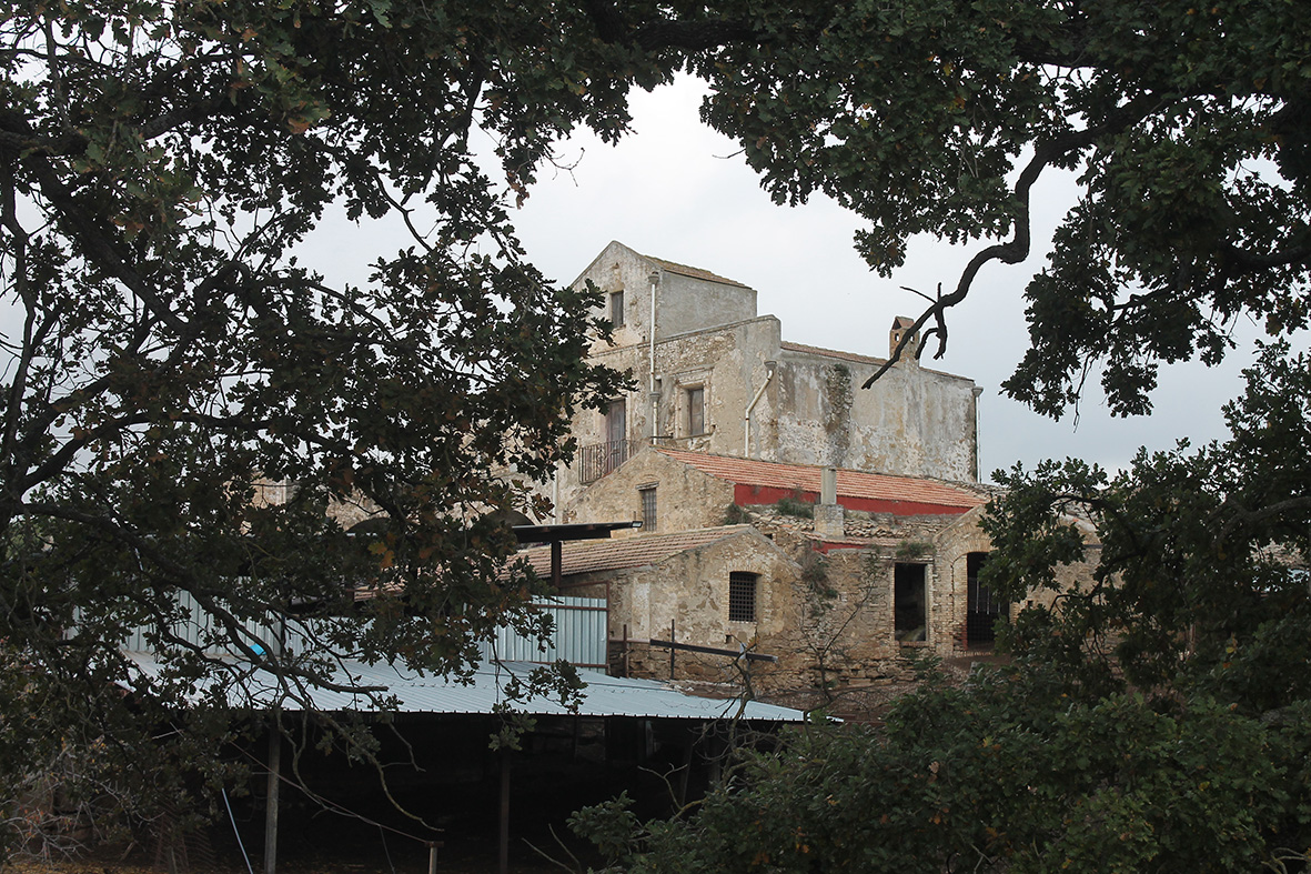 Masseria San Nicola (masseria, fortificata) - Ferrandina (MT) 