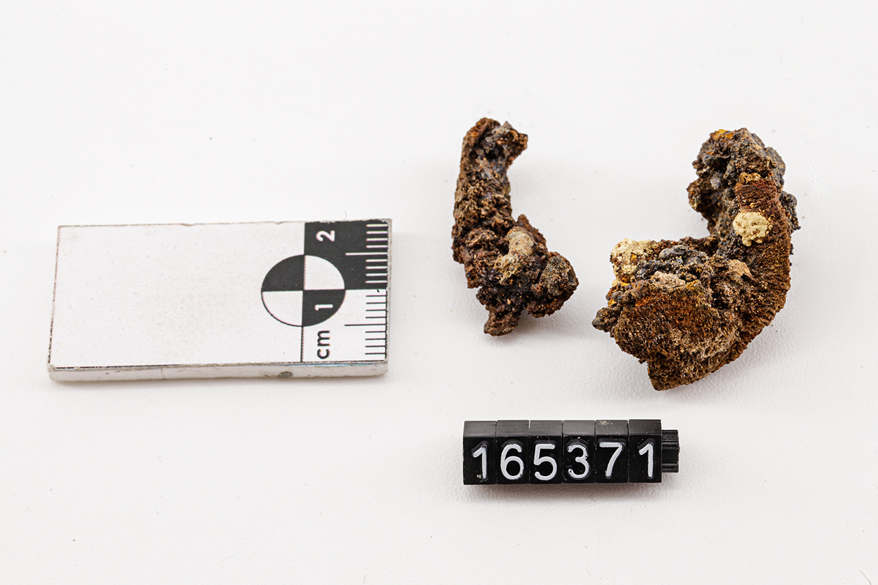 fibula/ ad arco semplice, arco (V a.C)