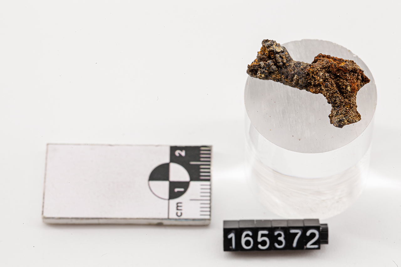 fibula/ ad arco semplice (V a.C)