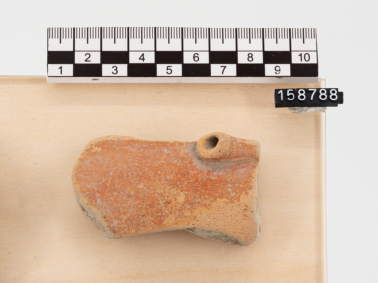 vaso/ parete - Stile di Diana (Neolitico superiore)