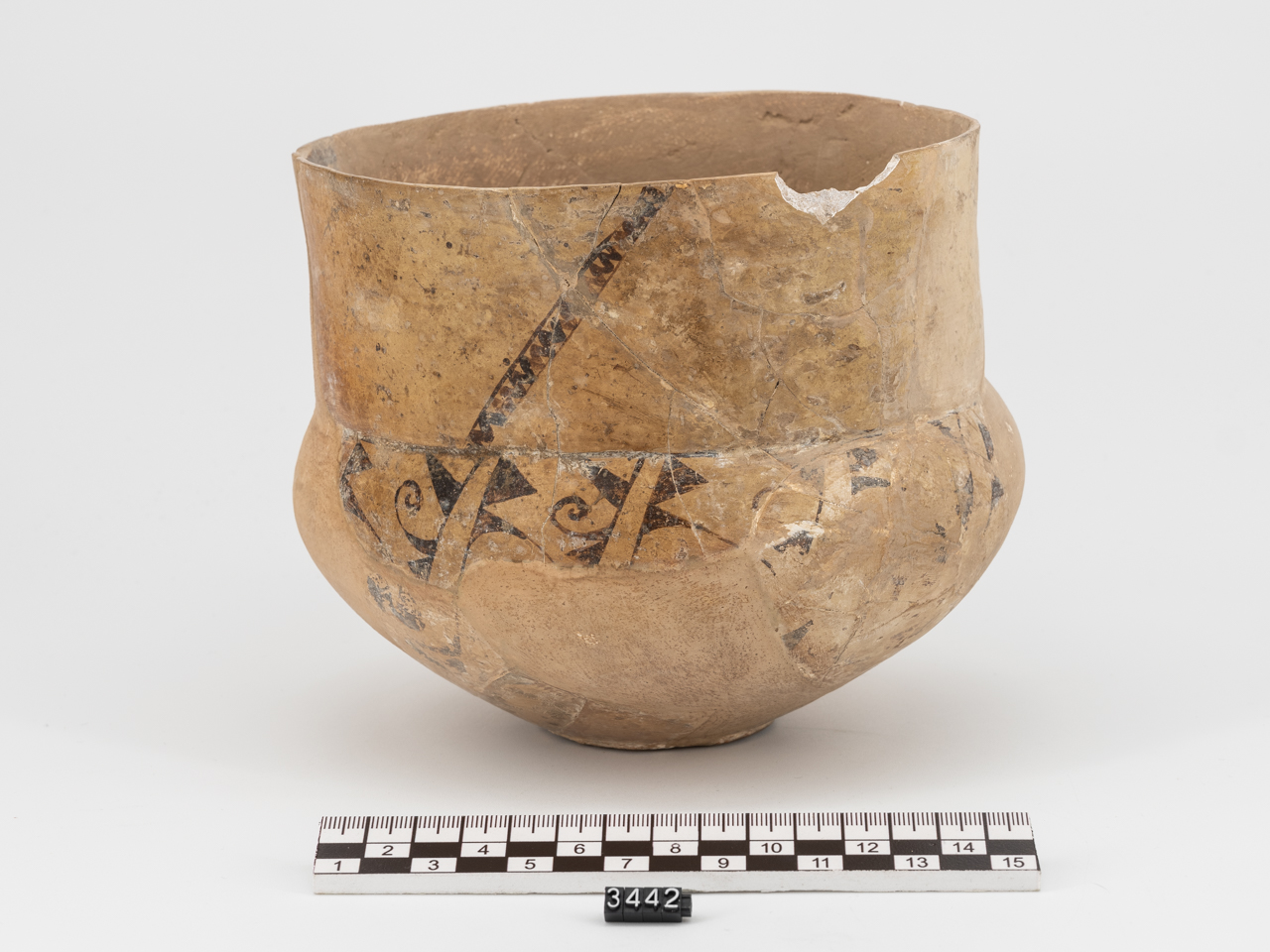 tazza (Neolitico medio)