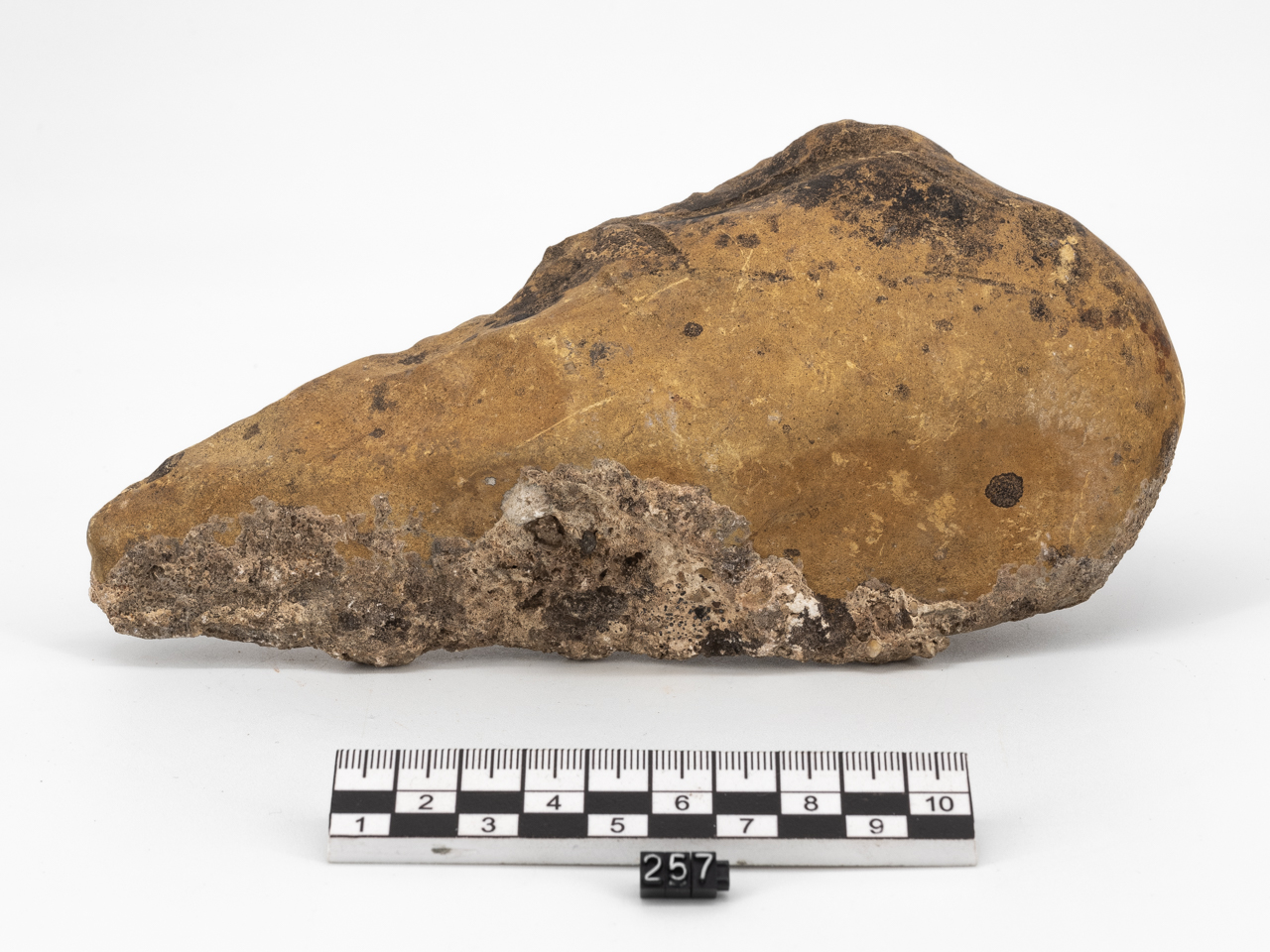 bifacciale (PERIODIZZAZIONI/ PREISTORIA/ Paleolitico/ Paleolitico inferiore)