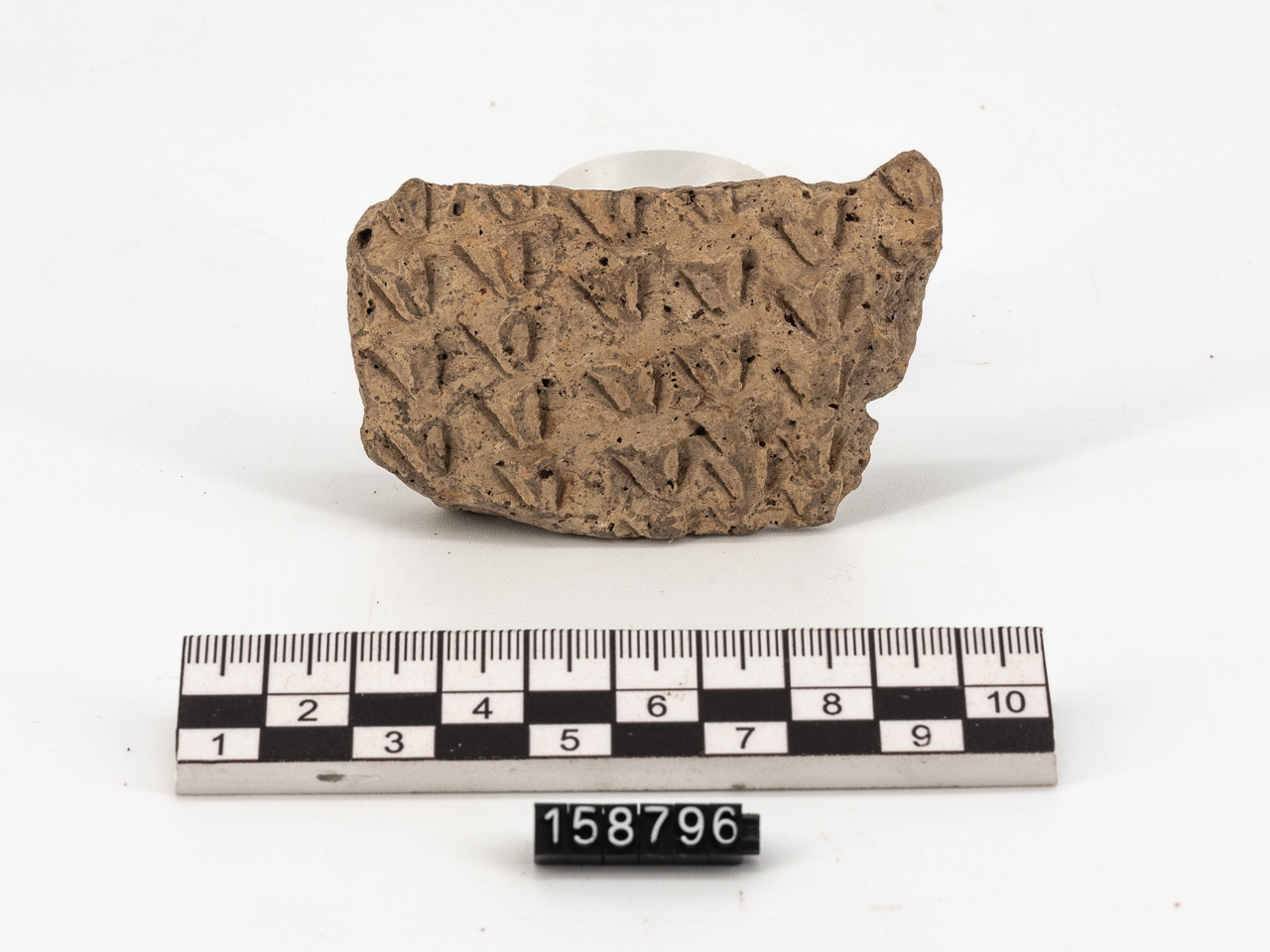 frammento (PERIODIZZAZIONI/ PREISTORIA/ Neolitico)