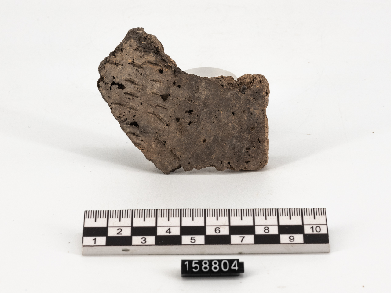 frammento (PERIODIZZAZIONI/ PREISTORIA/ Neolitico)