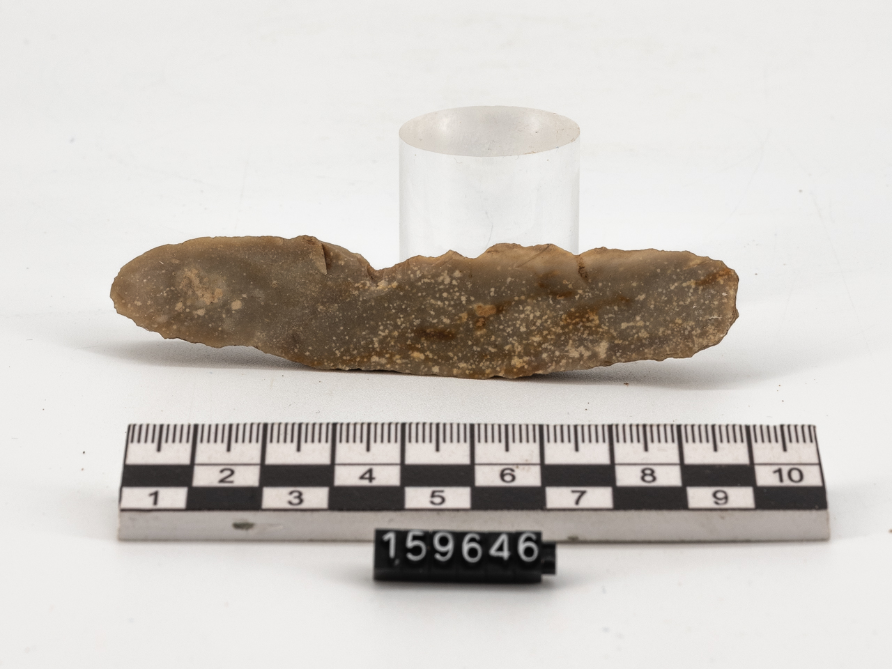 lama (PERIODIZZAZIONI/ PREISTORIA/ Neolitico)