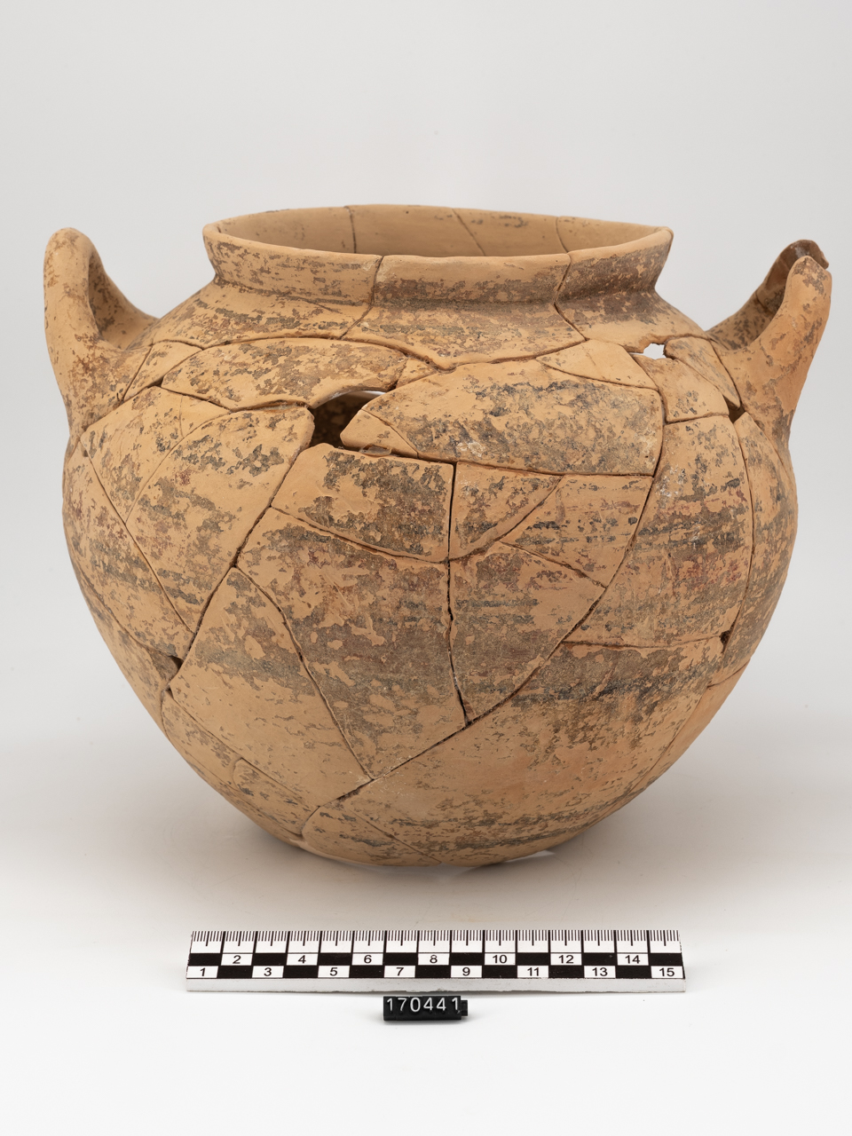 olla/ biansata (prima metà SECOLI/ VI a.C)