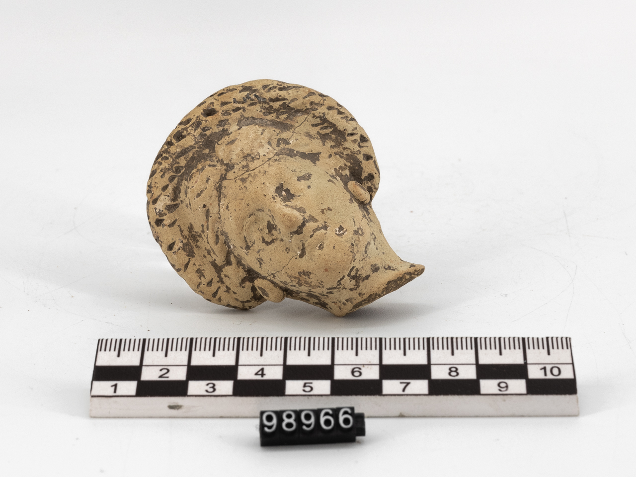 testa/ femminile (SECOLI/ IV a.C)