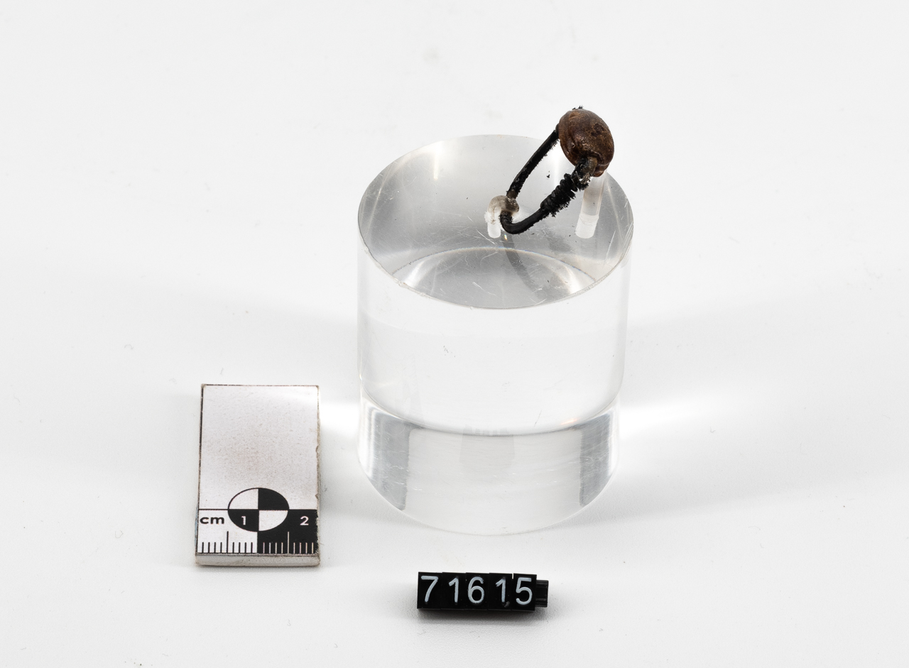 anello/ digitale (metà SECOLI/ IV a.C)