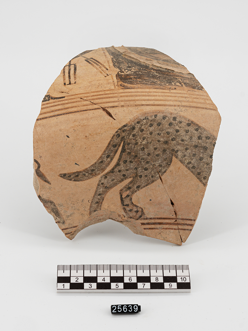 Figure di animali tra motivi geometrici (deinos) (VII a.C)