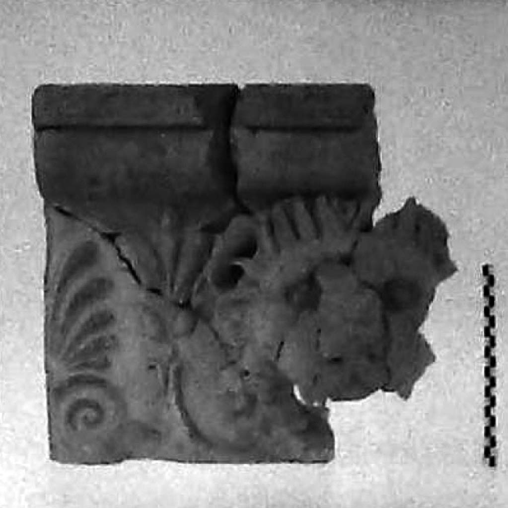 motivi decorativi zoomorfi e vegetofloreali (sima/ con gocciolatoio, doccione) (seconda metà VI a.C)