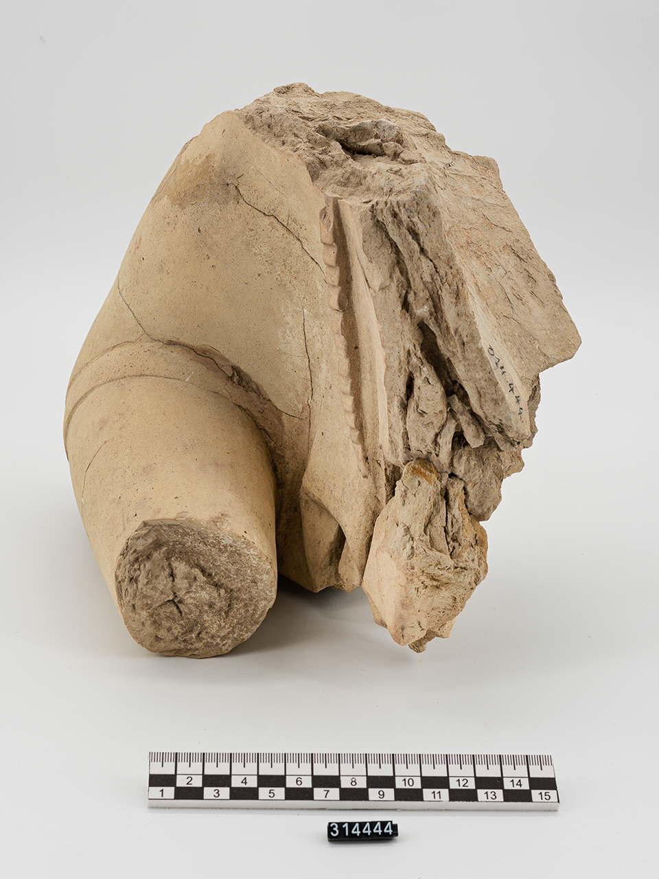busto/ femminile (prima metà VI a.C)