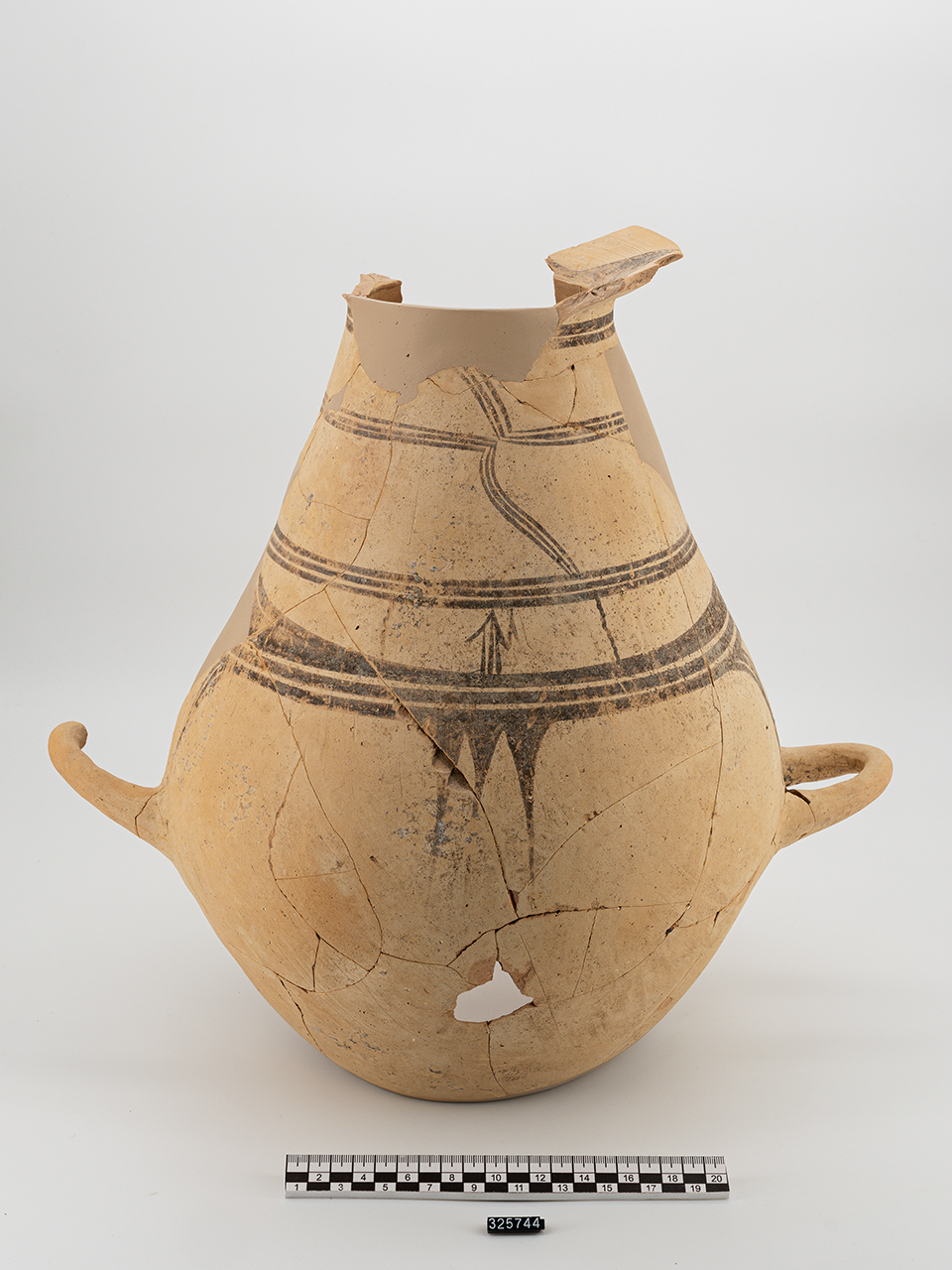 olla/ biconica - Produzione enotria (fine VIII a.C)