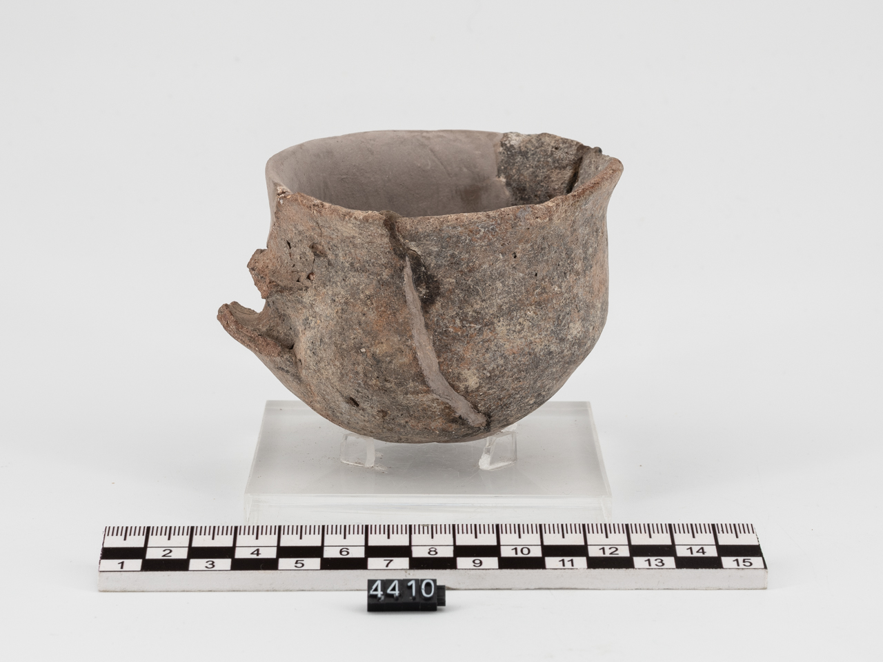 tazza (Età del Bronzo medio)