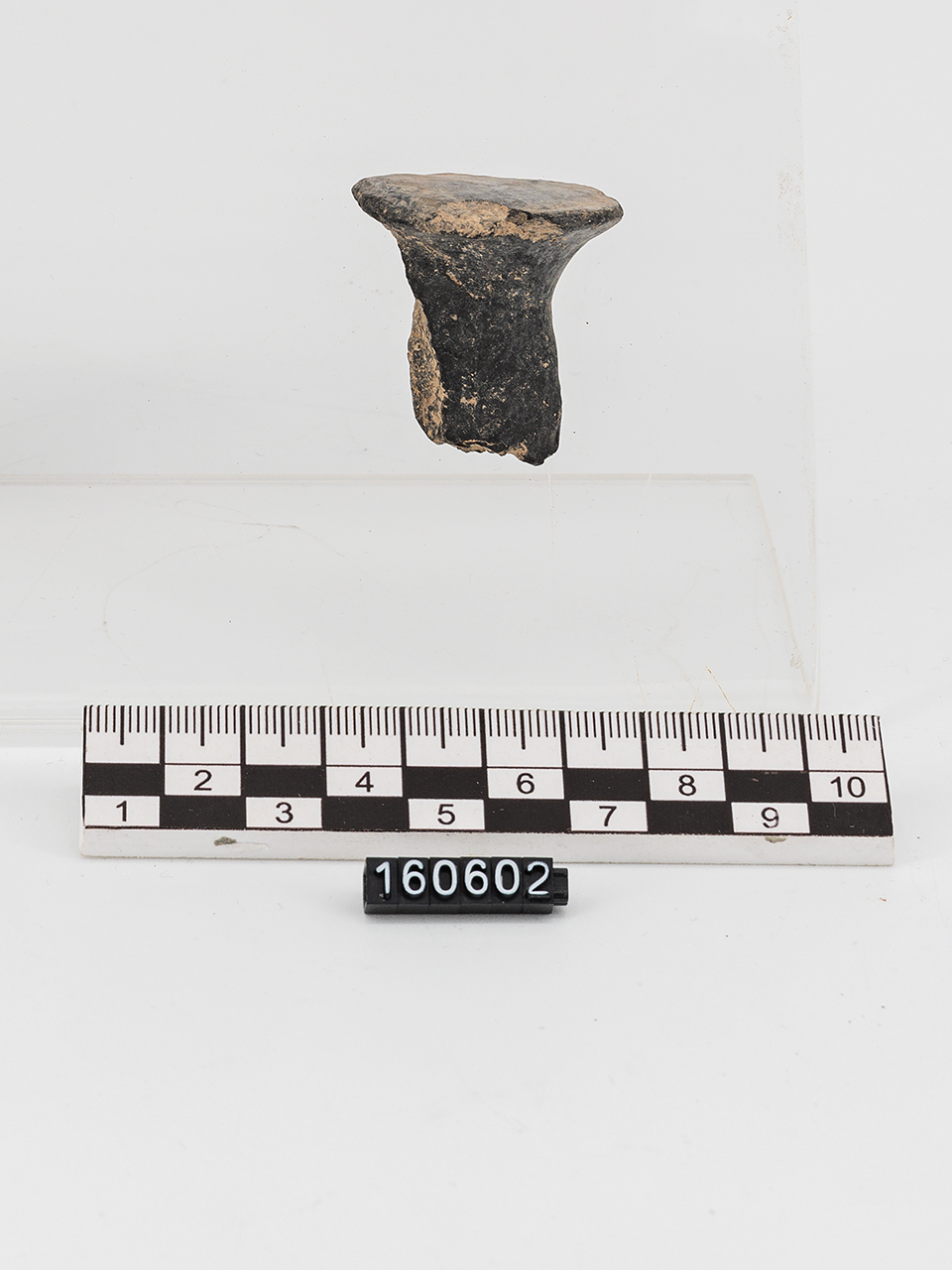 ansa (Età del Bronzo medio)