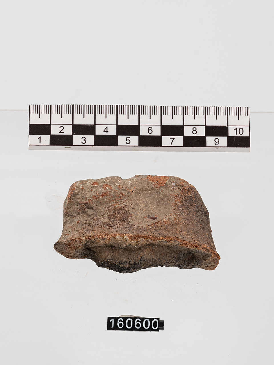 ansa (Età del Bronzo medio)