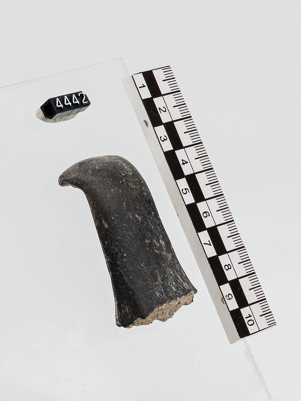 ansa (Età del Bronzo medio)