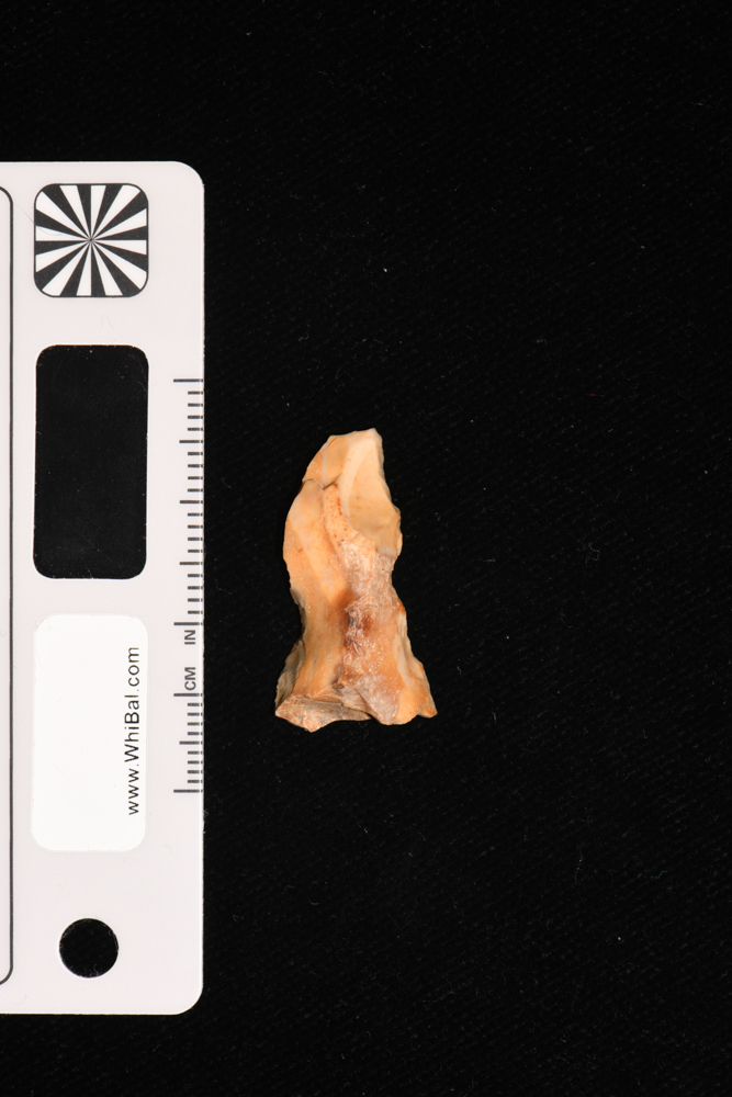 strumento (PERIODIZZAZIONI/ PREISTORIA)