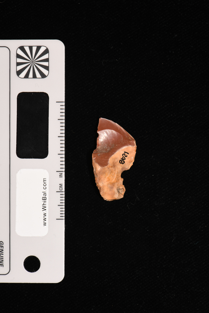 strumento (PERIODIZZAZIONI/ PREISTORIA)