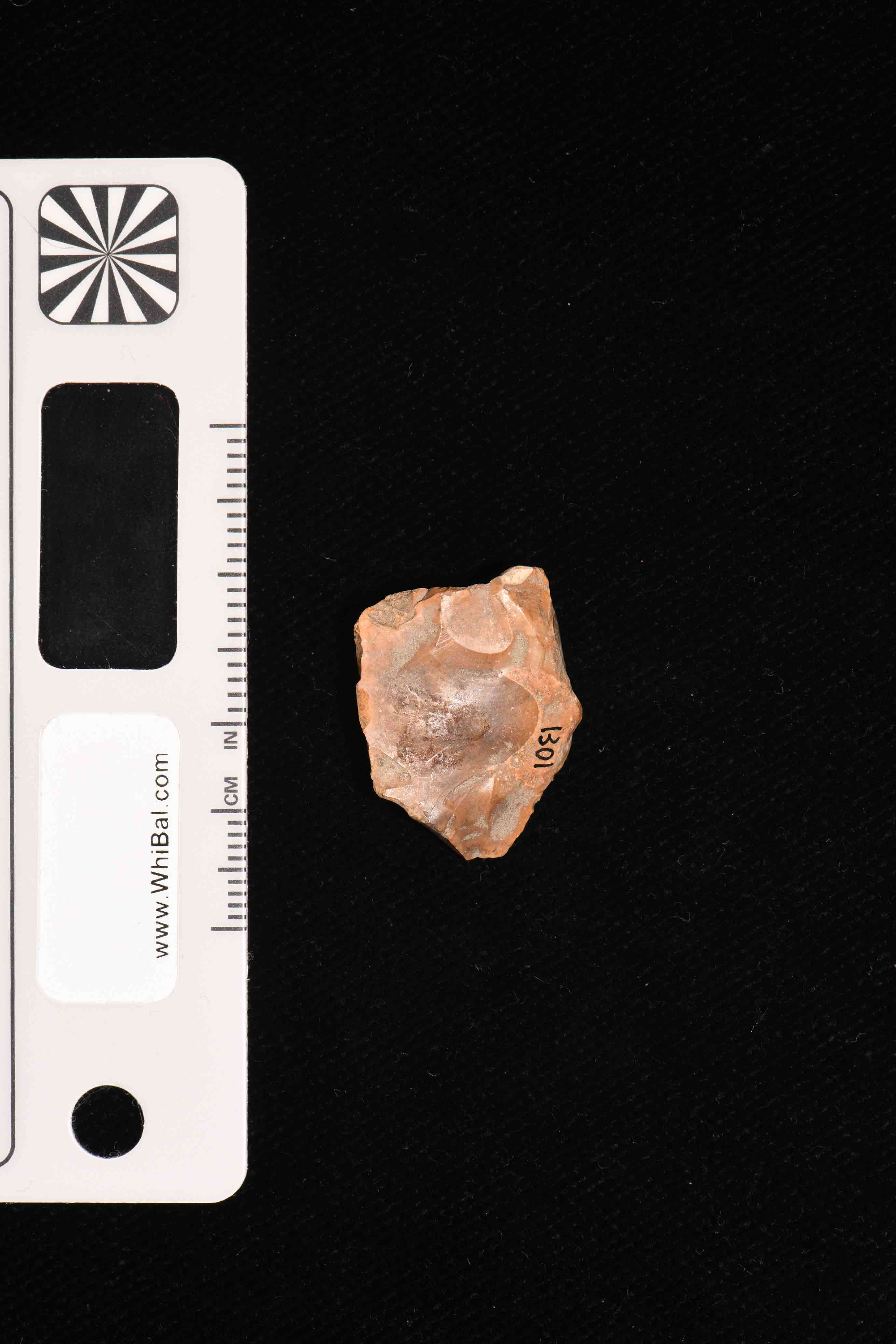 strumento (PERIODIZZAZIONI/ PREISTORIA)