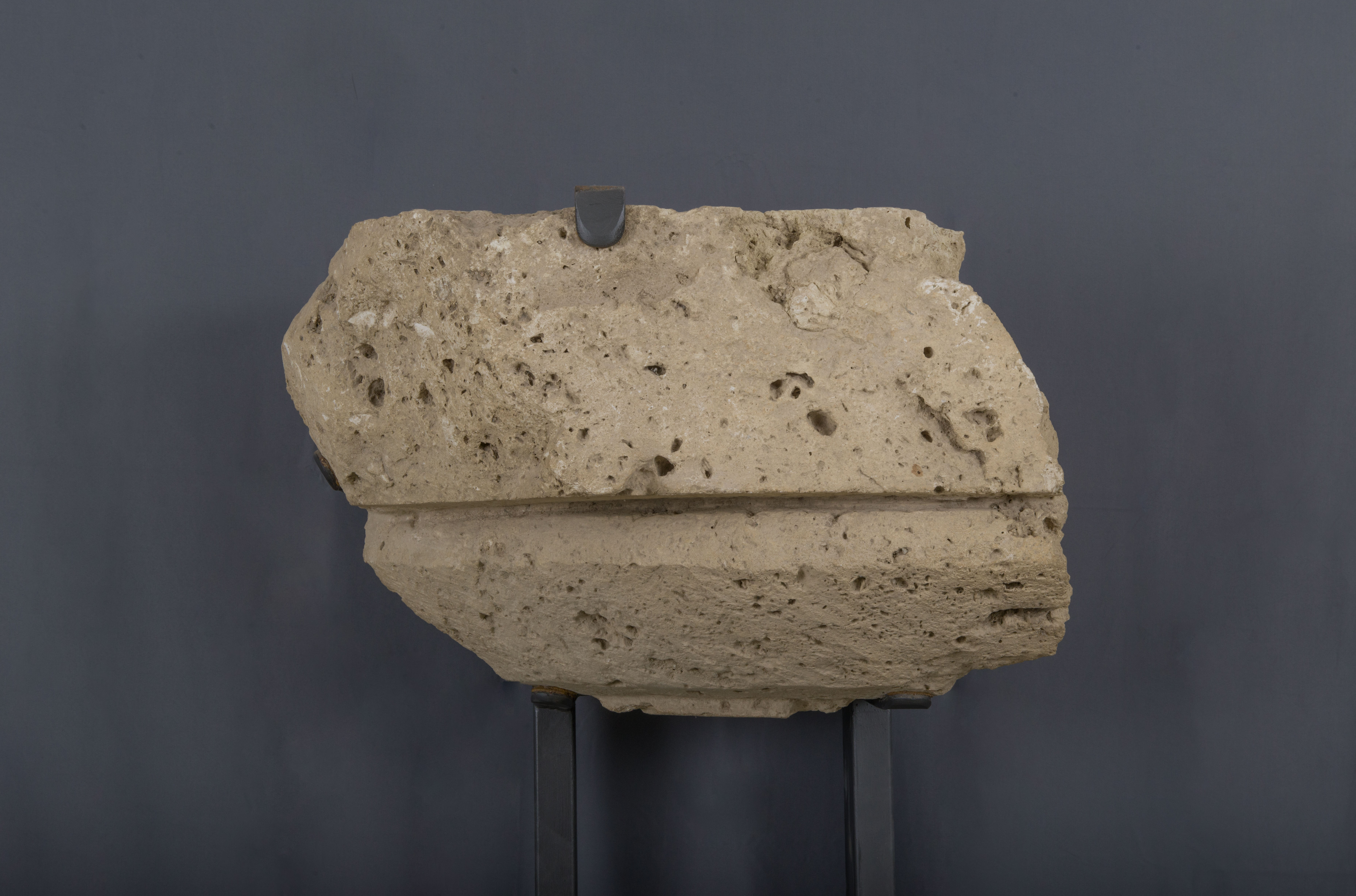 capitello/ echino, Fr. di capitello dorico in calcare (terzo quarto SECOLI/ VI a.C)