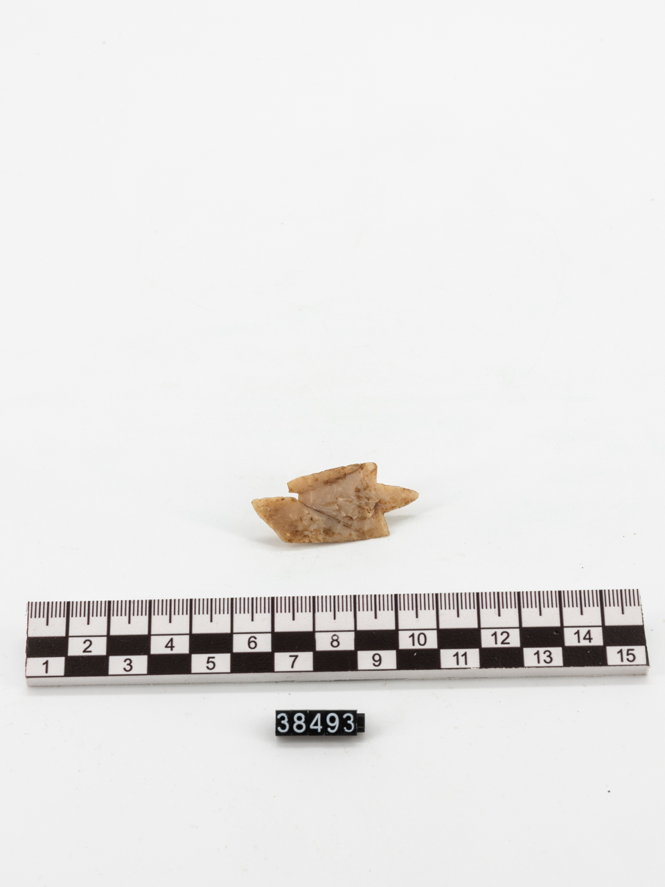 freccia/ cuspide - ambito peistorico (PERIODIZZAZIONI/ PROTOSTORIA/ Età del Bronzo)