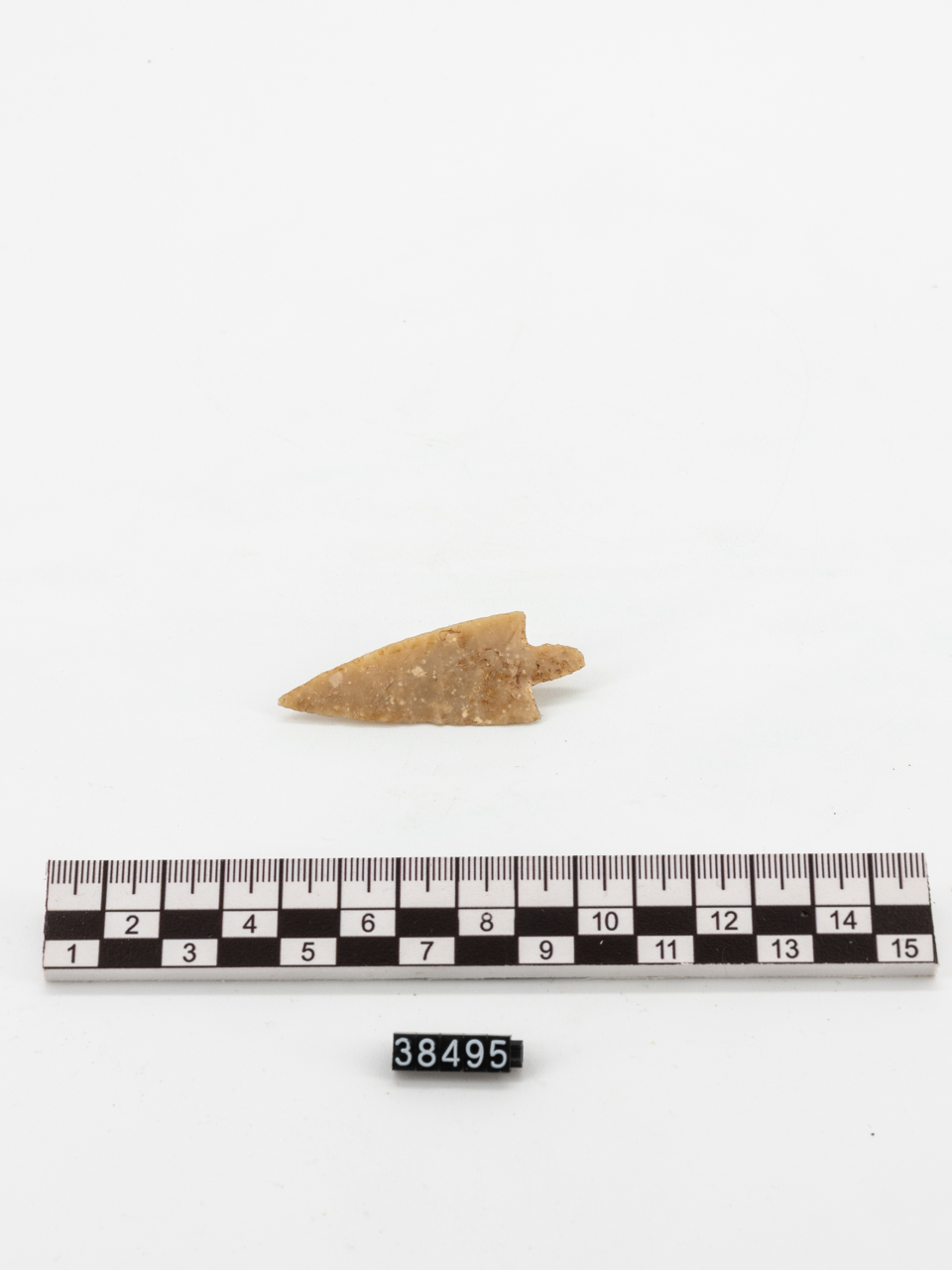 freccia/ cuspide - ambito preistorico (PERIODIZZAZIONI/ PROTOSTORIA/ Età del Bronzo)