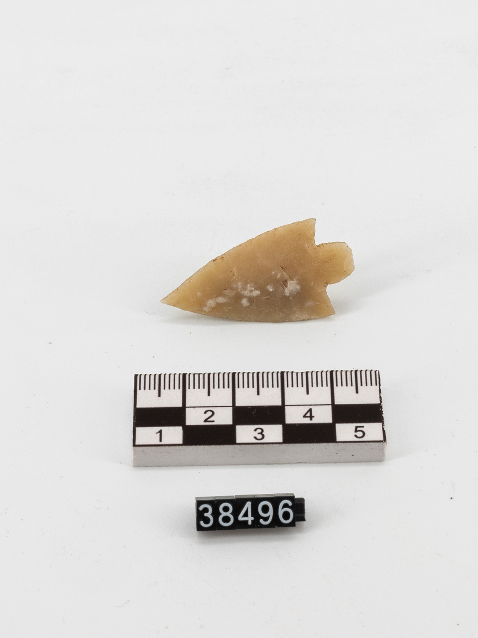 freccia/ cuspide - ambito preistorico (PERIODIZZAZIONI/ PROTOSTORIA/ Età del Bronzo)