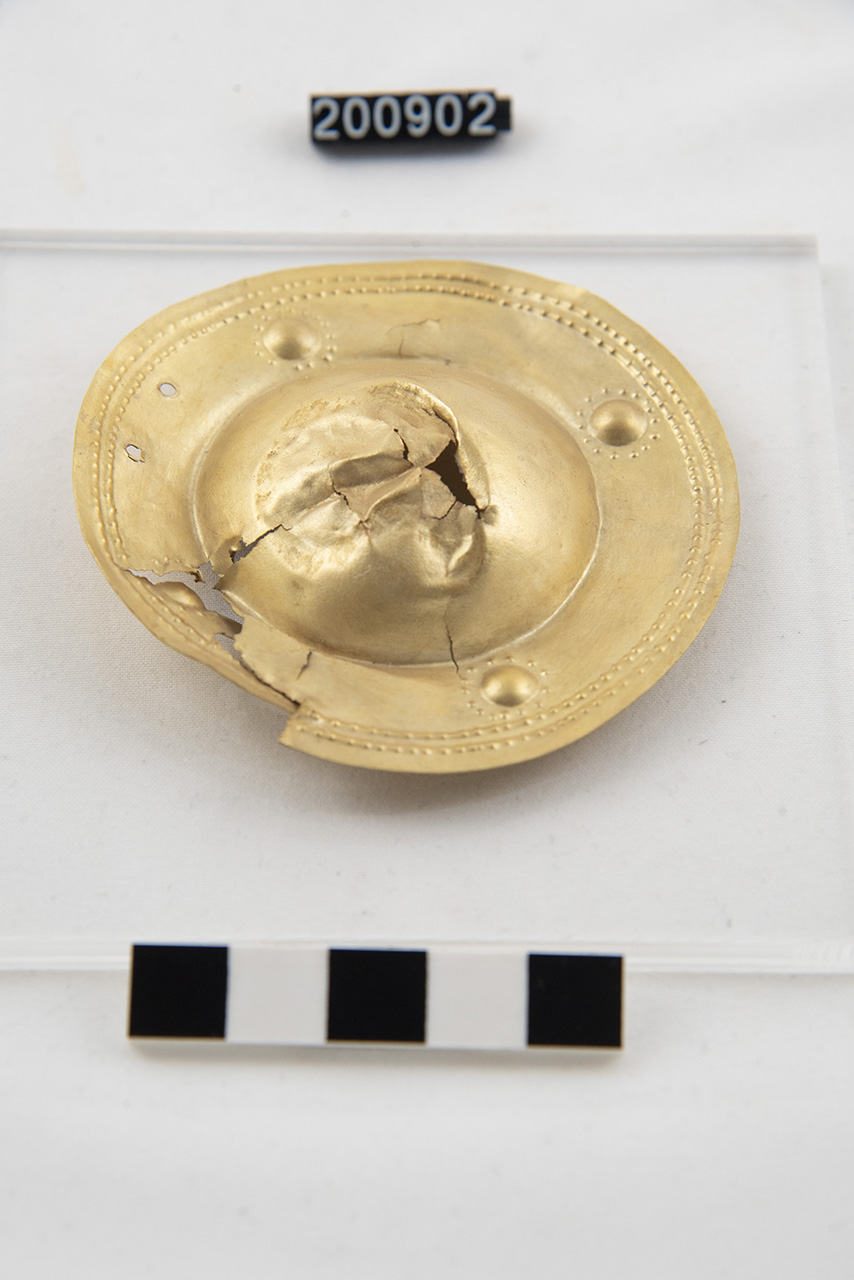 falera - Produzione locale (inizio/ metà SECOLI/ IX a.C./ VIII a.C)