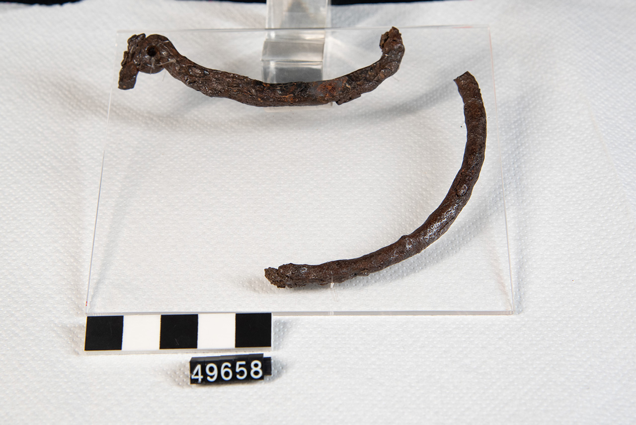 fibula/ serpeggiante - Produzione peuceta (SECOLI/ VIII a.C)