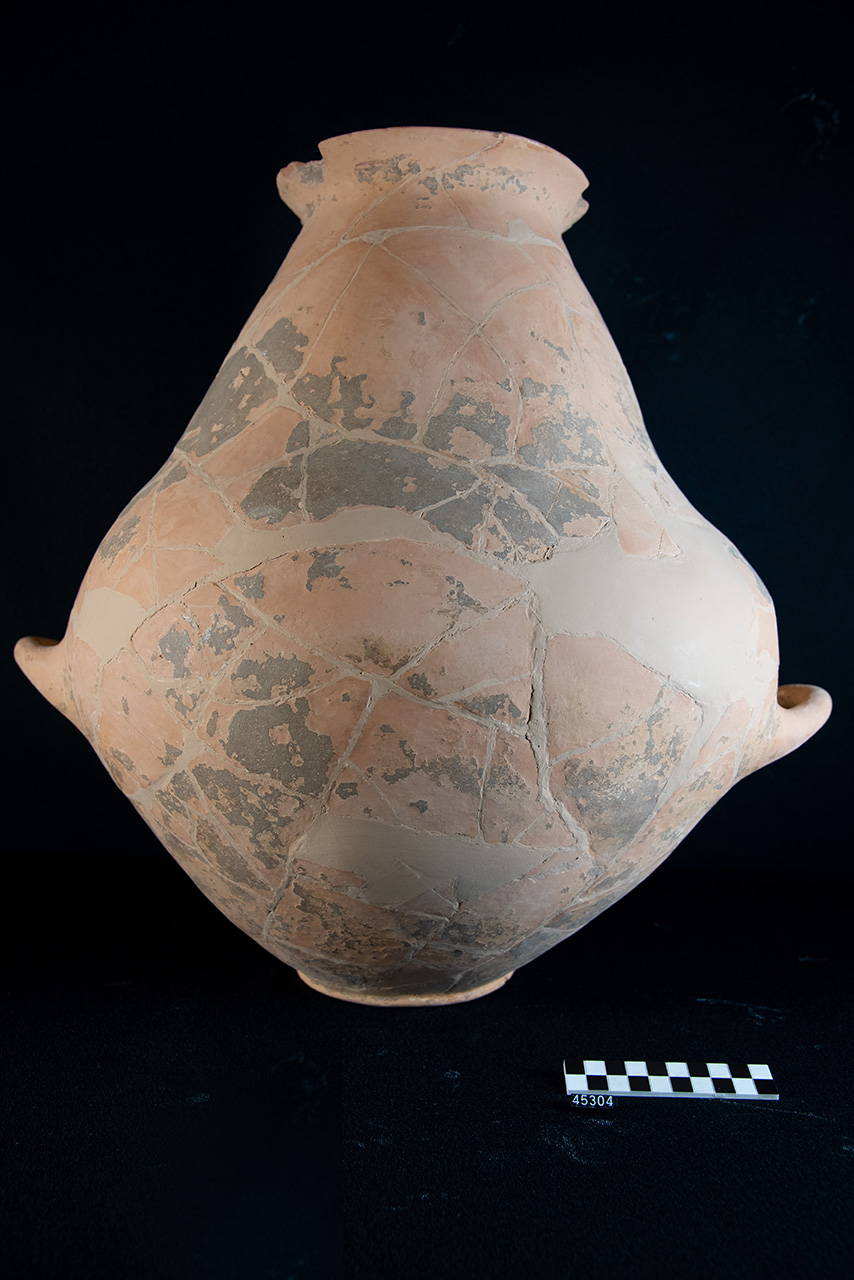 olla/ biansata - produzione locale (SECOLI/ VIII a.C)