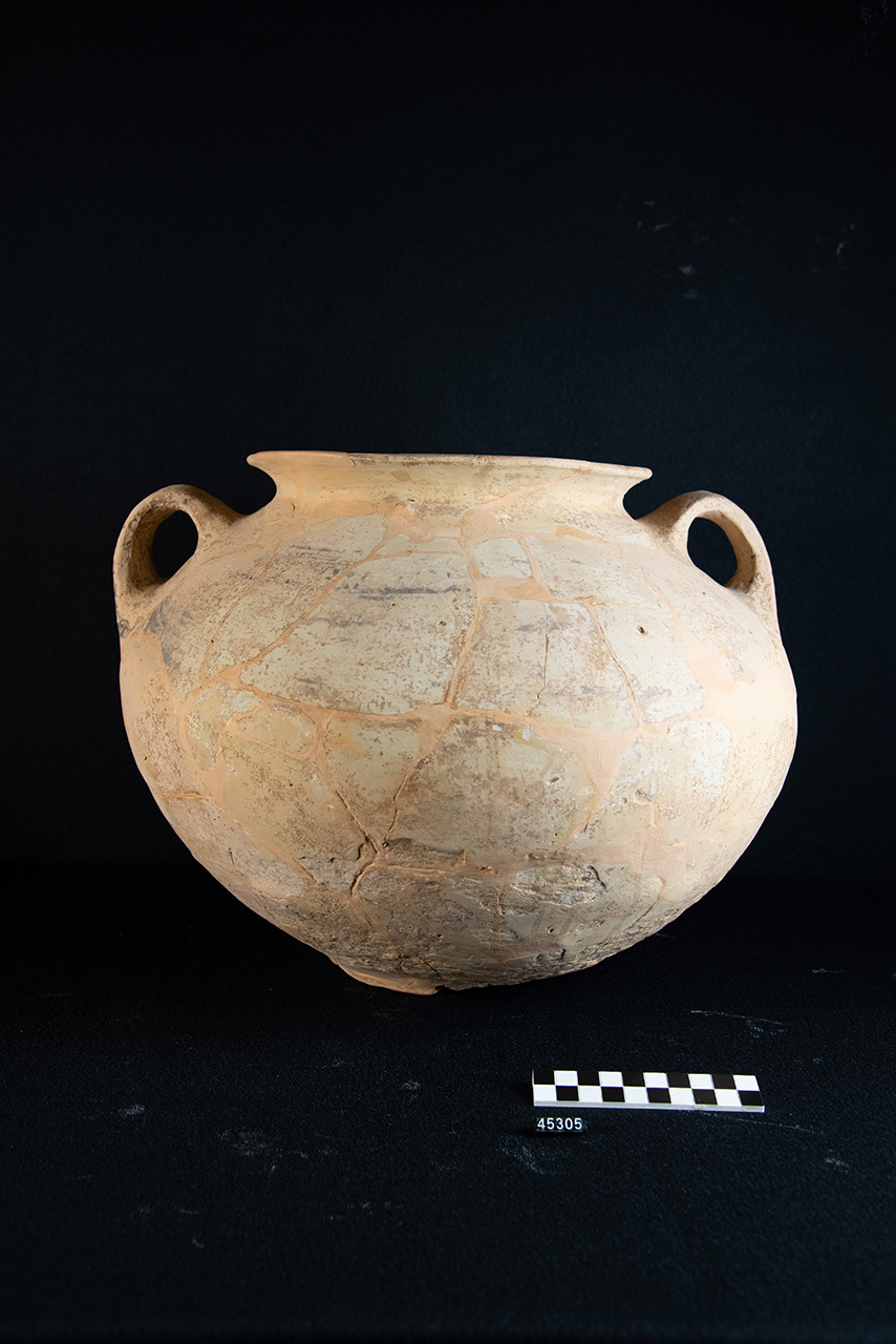 olla/ biansata - Produzione locale (SECOLI/ VIII a.C)