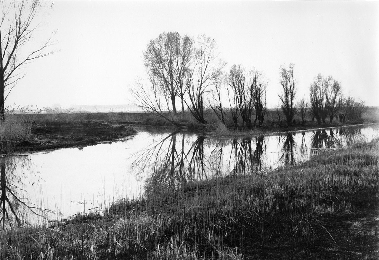 Corsi d’acqua - Canali - Canale Navile (positivo, insieme completo) di Circolo fotografico bolognese, Pondrelli, Bruno (attribuito) (XX)