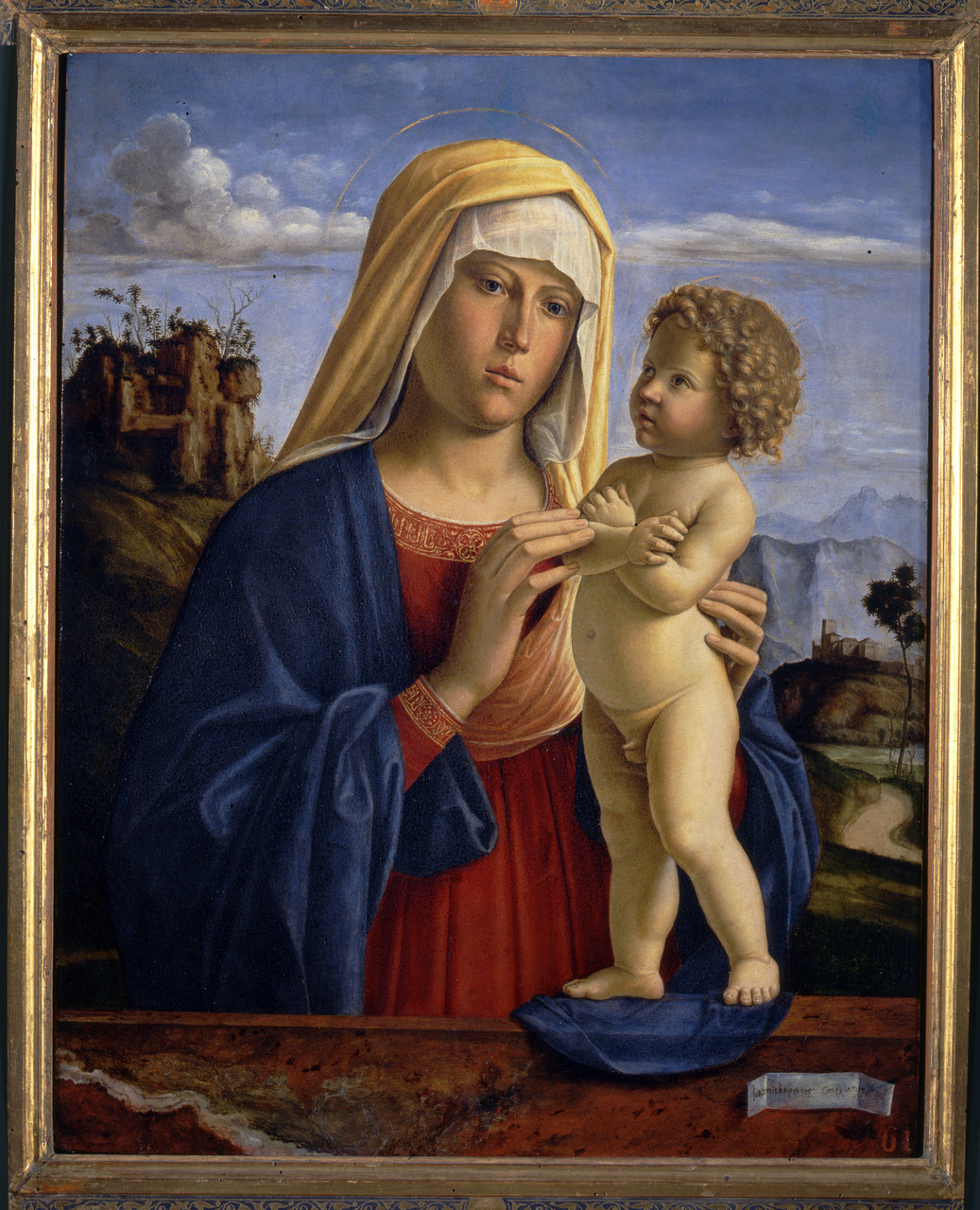 Madonna con il Bambino (dipinto, opera isolata) di Cima Giovan Battista detto Cima da Conegliano (fine XV)