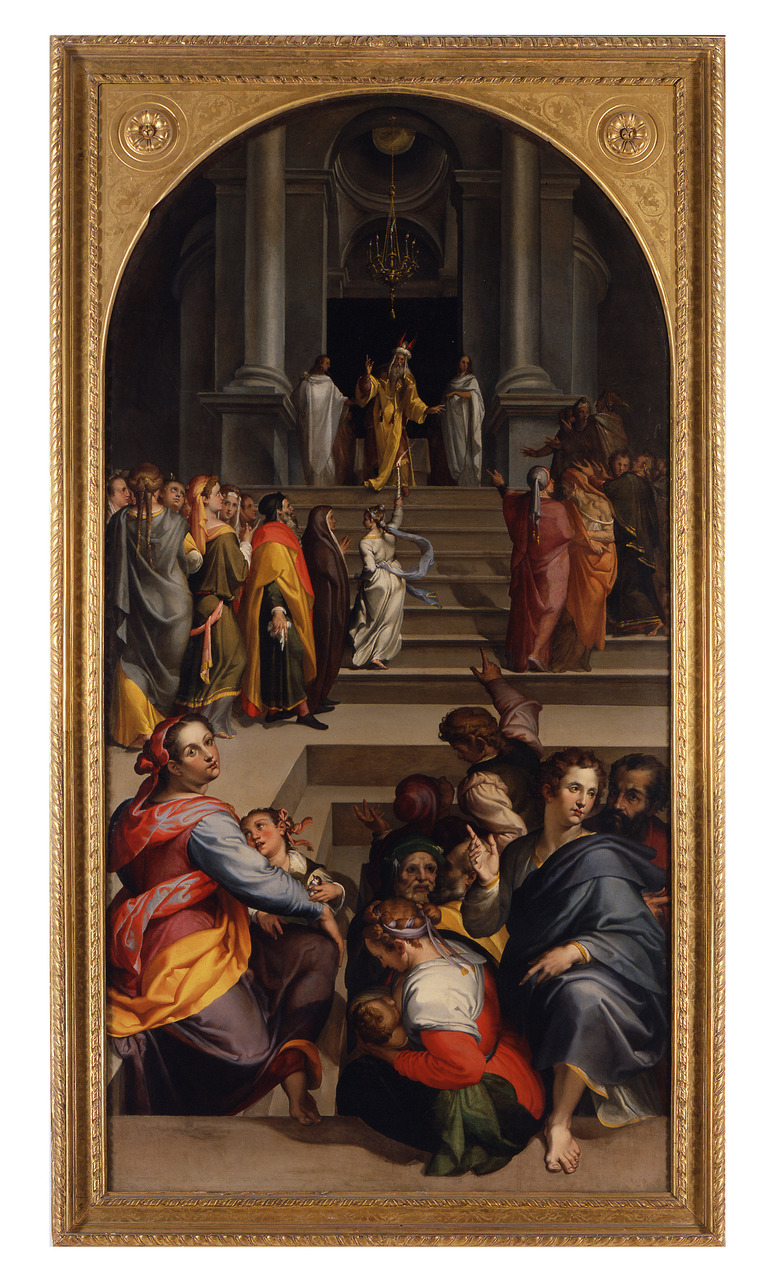 Presentazione della Vergine al Tempio (pala d'altare, opera isolata) di Passerotti Bartolomeo (anni ottanta XVI)
