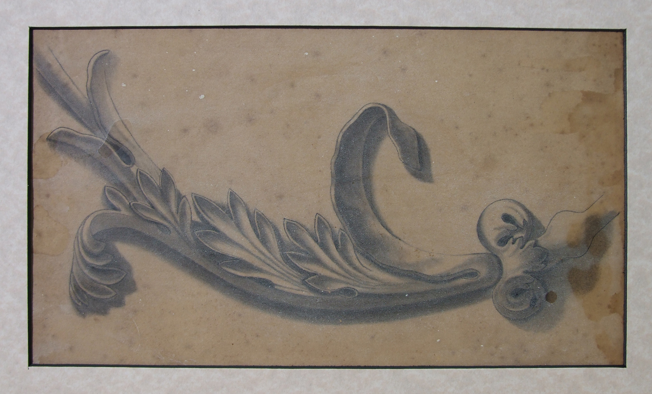 Fregio in gesso, motivo decorativo vegetale (disegno) di Aldi Pietro (XIX)