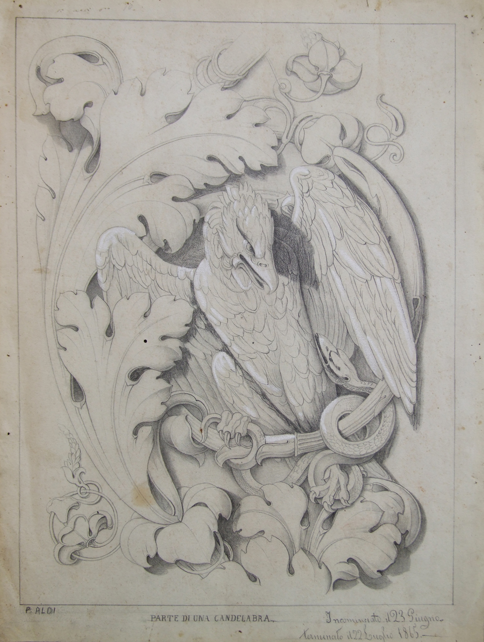 Parte di una candelabra, motivi decorativi con animali, foglie e fiori (disegno) di Aldi Pietro (XIX)