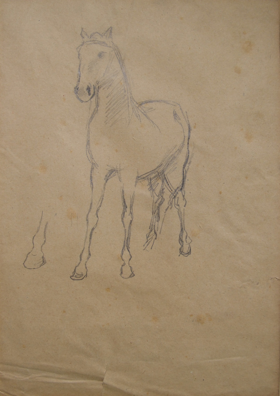 Studio per un cavallo, studio di cavallo e zampa di cavallo (disegno) di Aldi Pietro (XIX)