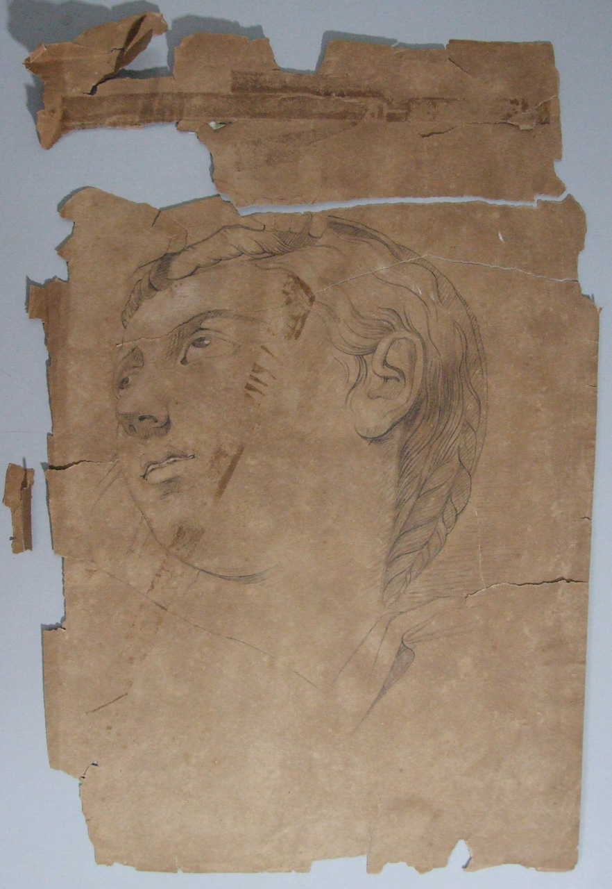 Copia della testa della Madonna del Tondo Doni, testa della Madonna (disegno) di Aldi Pietro (XIX)