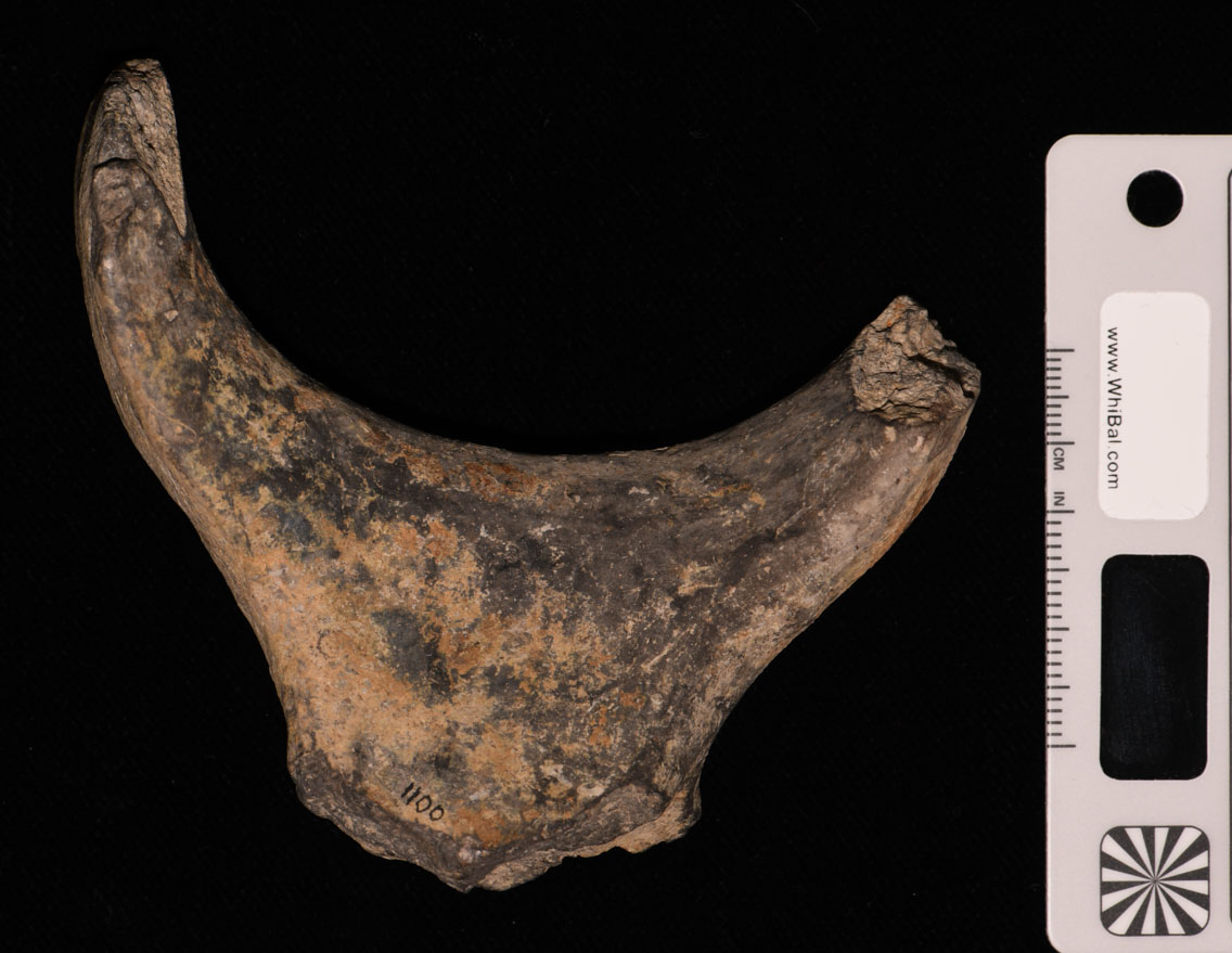 vaso (PERIODIZZAZIONI/ PROTOSTORIA/ Età del Bronzo)